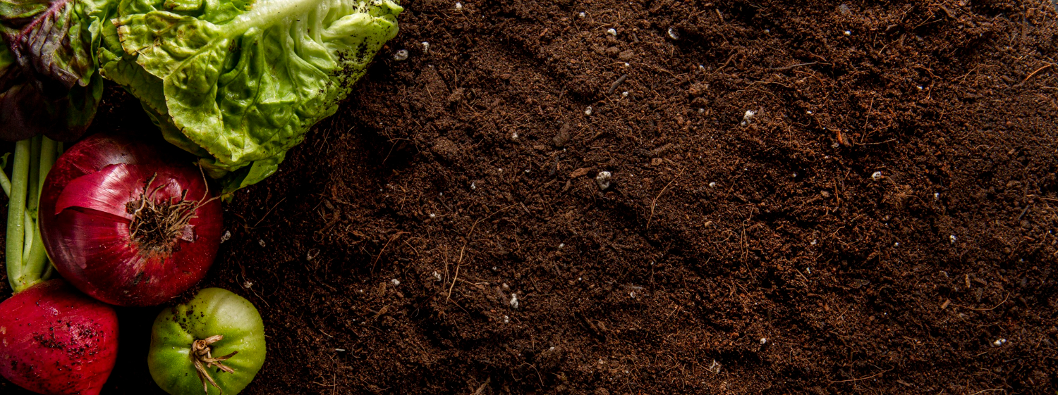 A bed with Compost ready for planting seeds