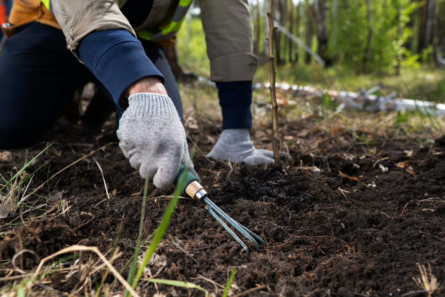 A gardener using a trowel to prepare the ground for sowing bulbs