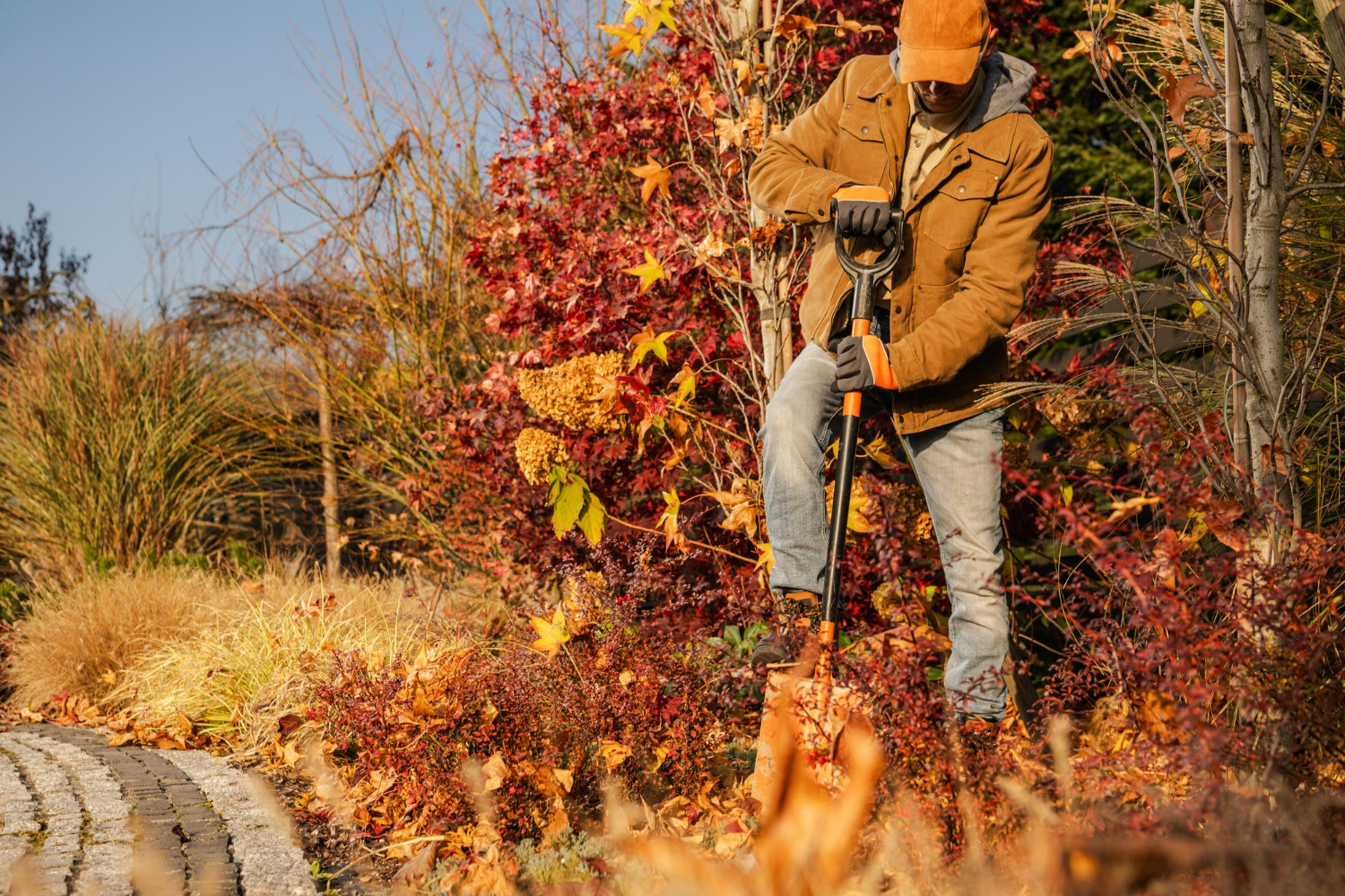 Gardener using a spade to dig the garden in Autumn