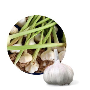 Don't let the chilly days hold you back